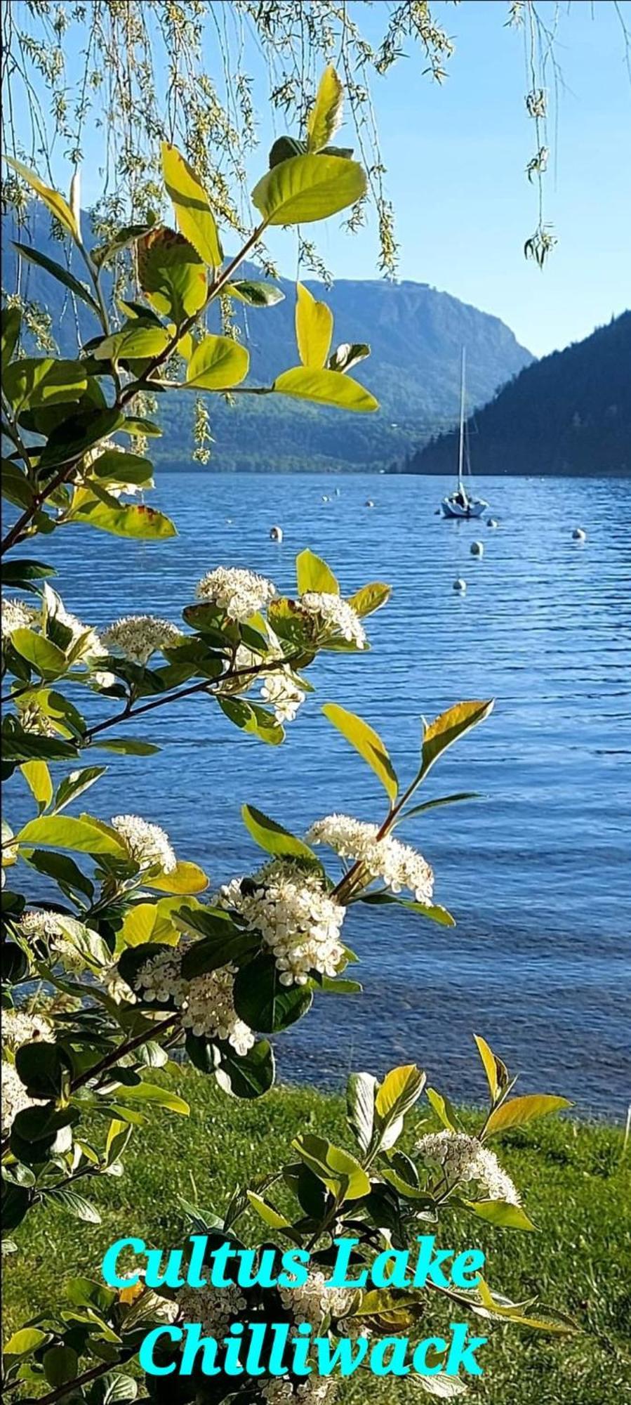 Private 2 Bedrooms Suite Near Hwy 1, Cultus Lake, Heritage Park, Fishing, Coliseum Chilliwack Room photo